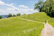 IMG_4594-Bearbeitet